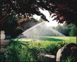 a lush lawn can be yours with the help of our Hilltop Village Irrigation team
